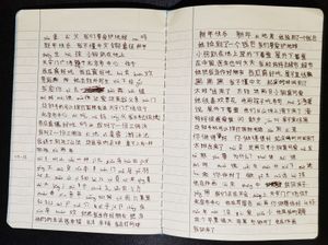 Chinese practice notebook - middle